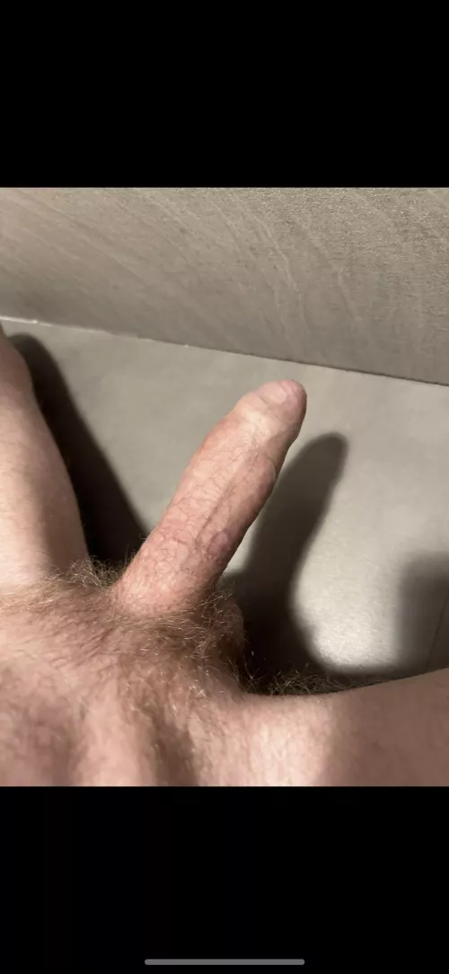 First pic of my thick unshaved dick by TDK321