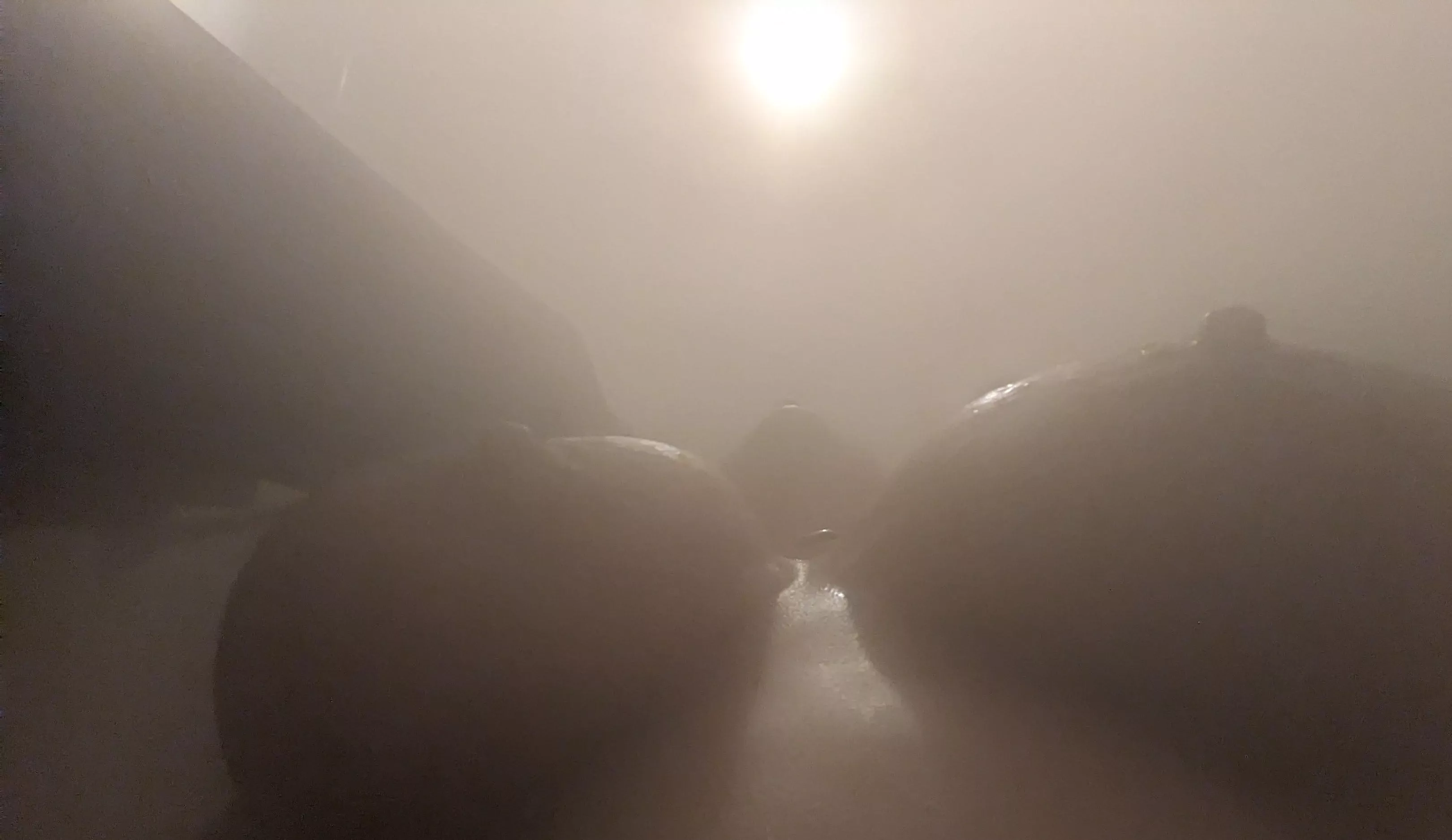 Foggy shot from underneath after a shower 😘 posted by morerottenbythehour