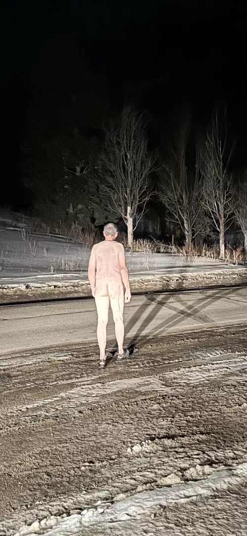 Into the Night by Fickle-Repair486