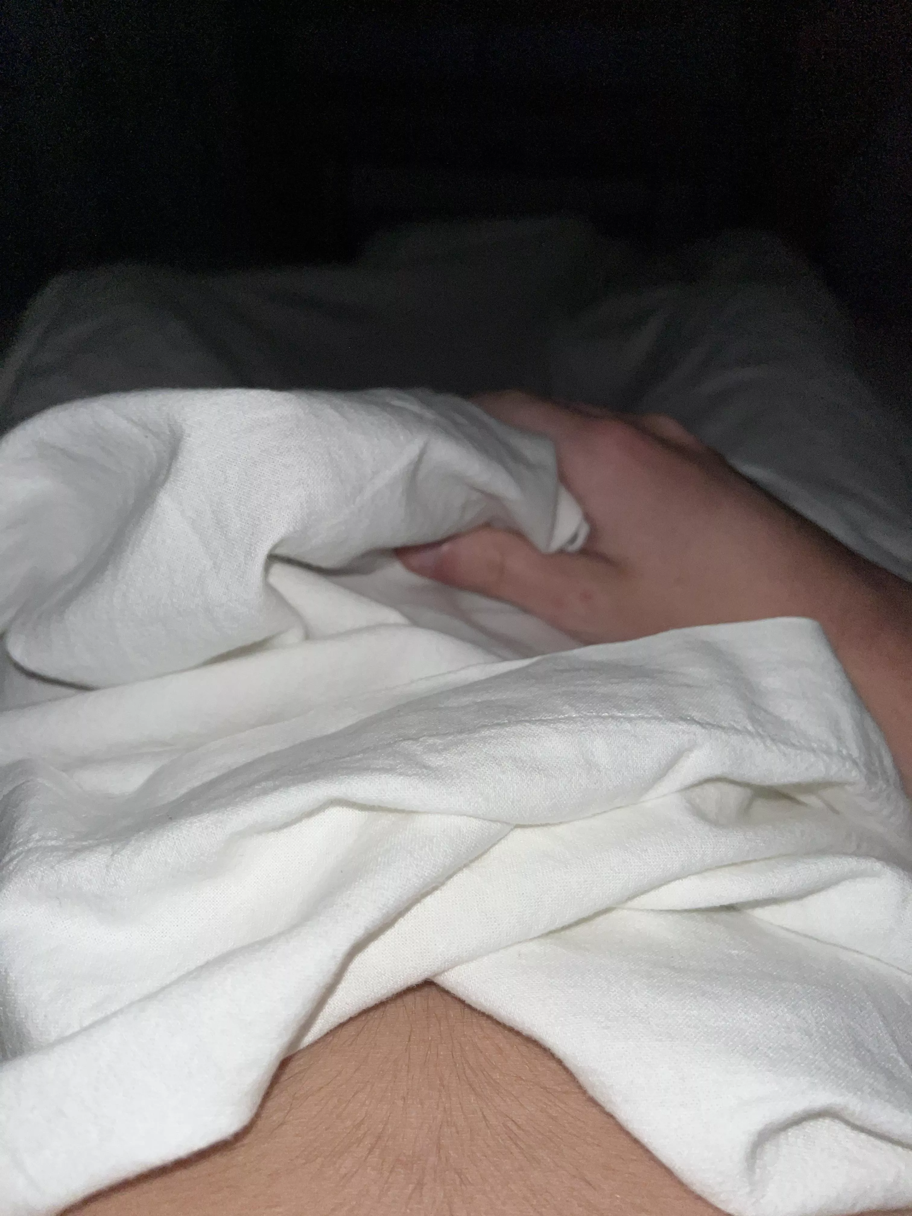 morning horn posted by xxx-elijah