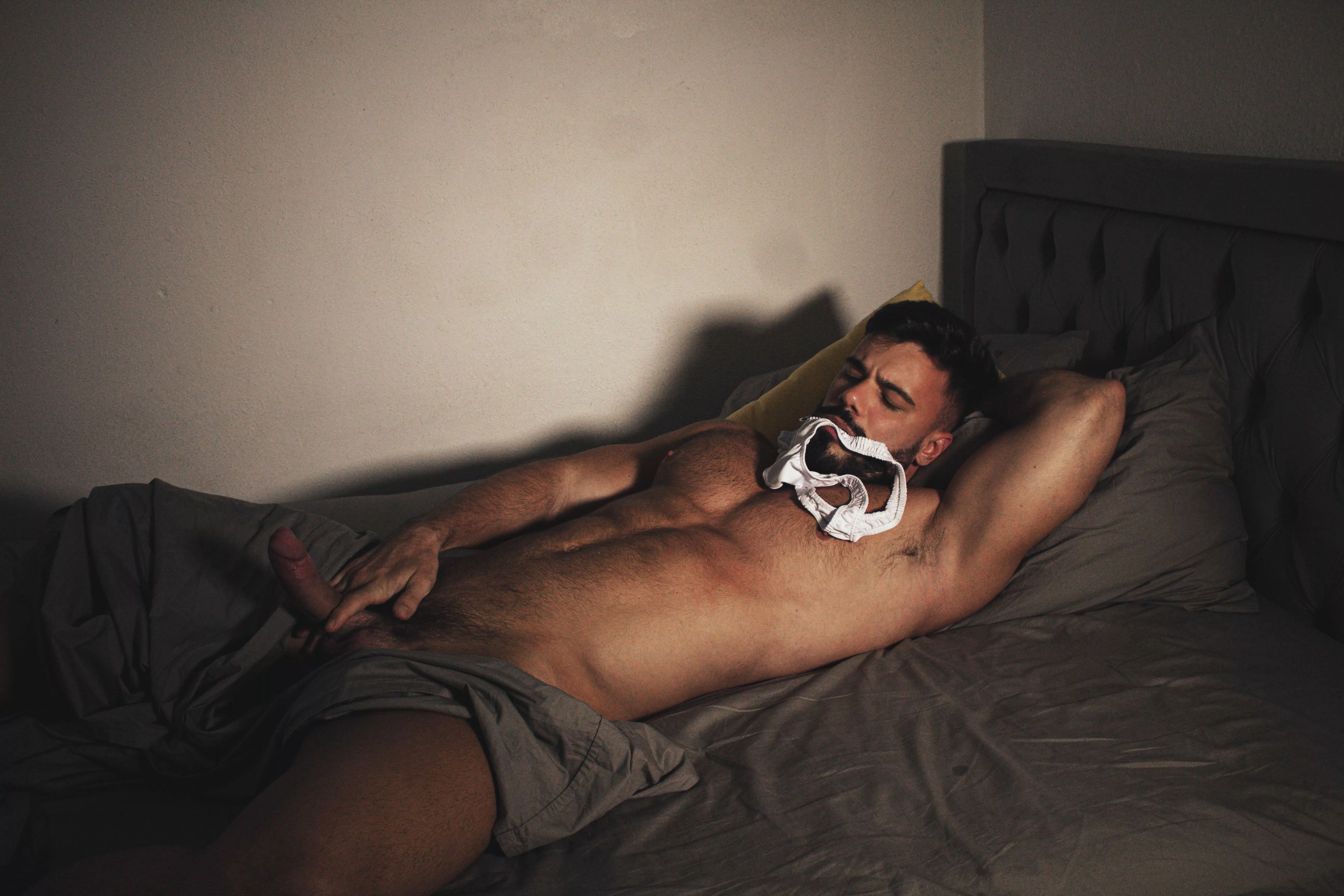 My bed needs a little bit of warming posted by italofassin