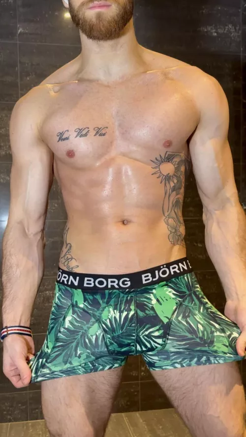 My favorits by Fitcookieface