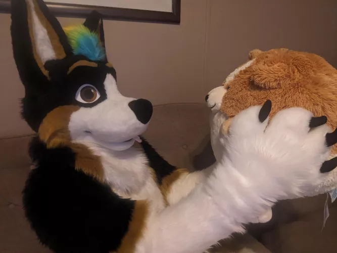Ponder the corb for Fursuit Friday by WolfinCorgnito