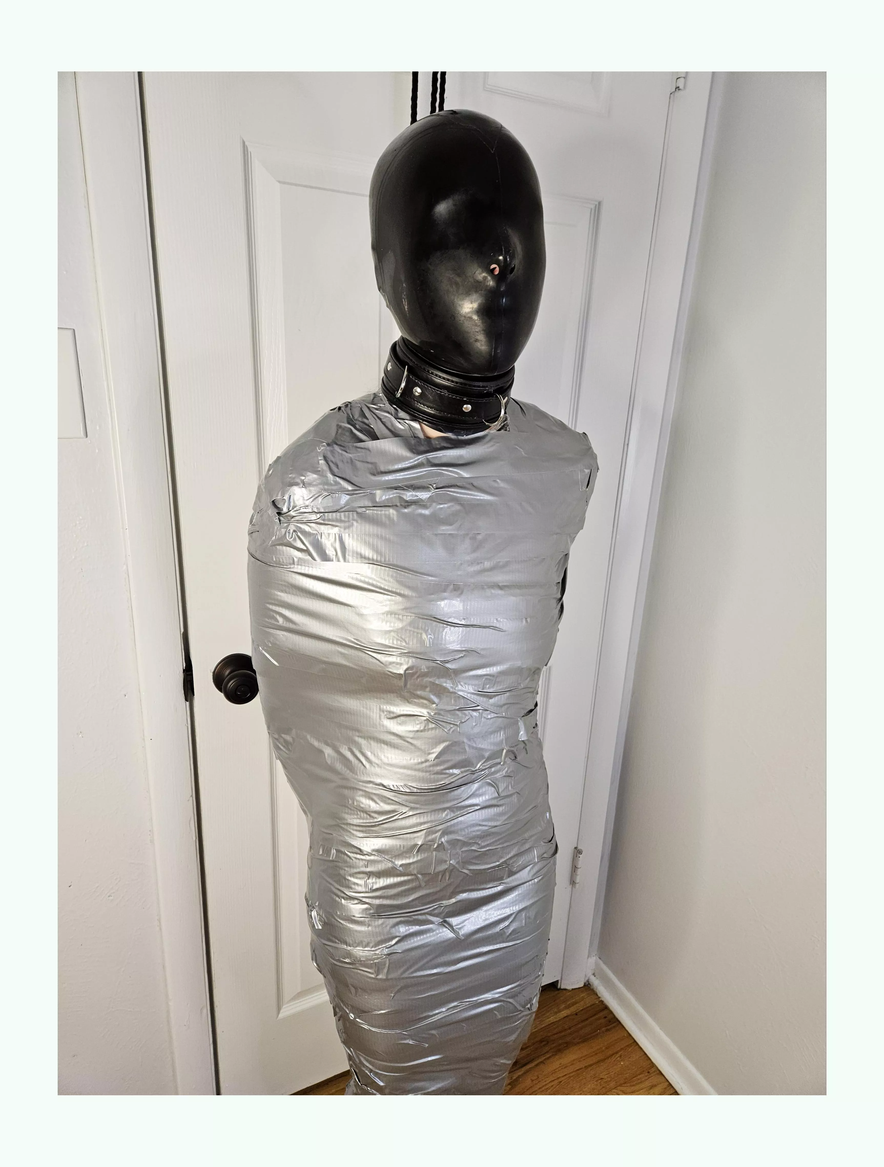 So shiny posted by FeeComfortable1962