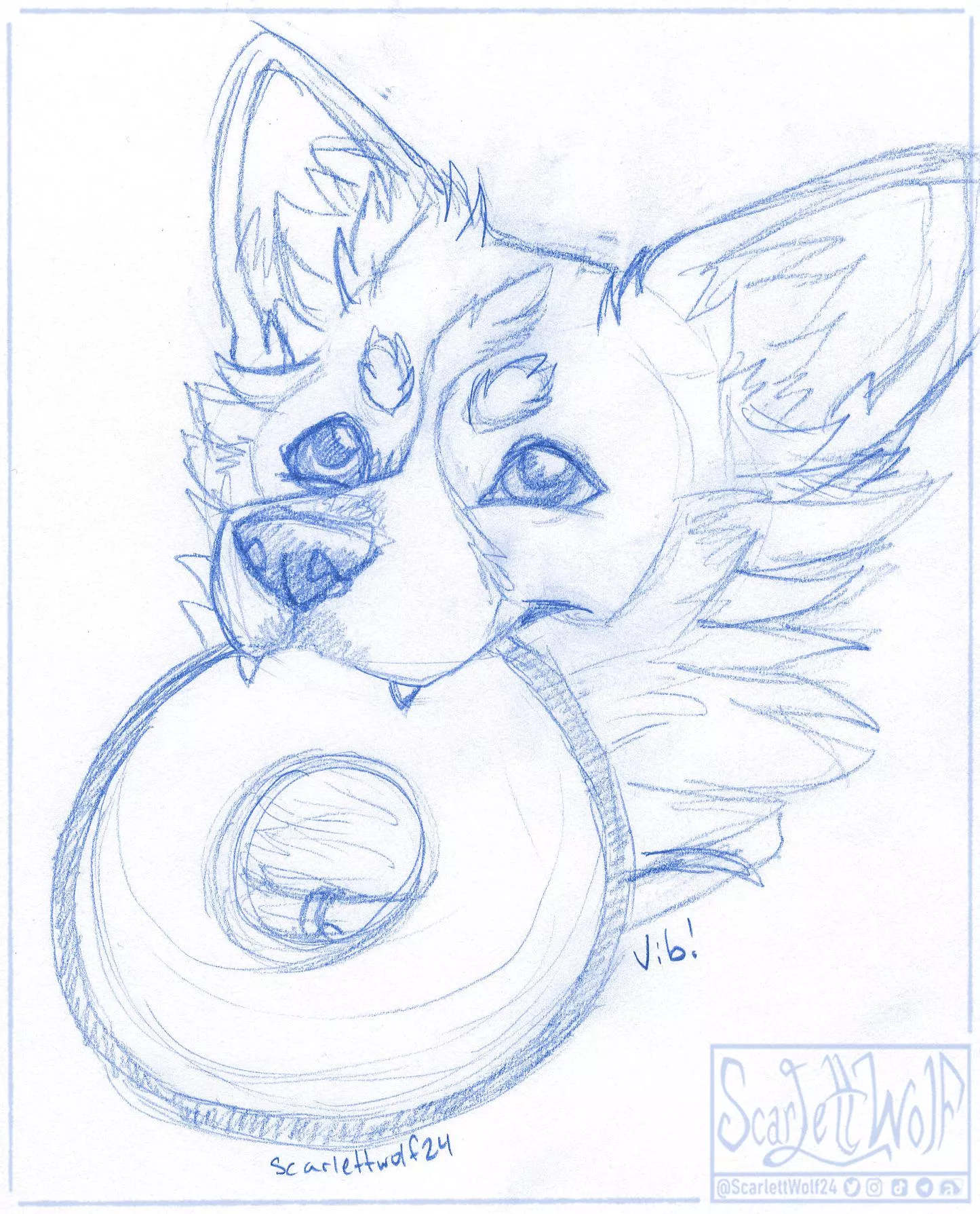 Some puppy wants to play! Throw the frisbee… please? ✨🐾 posted by scarlettwolf24