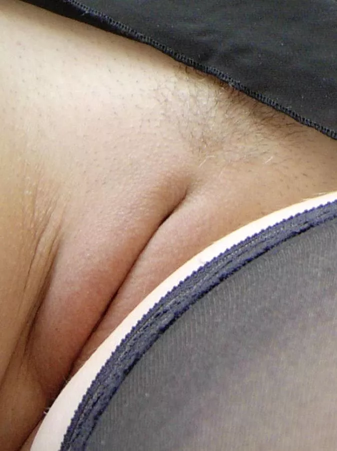 Thank Gall It’s Friday posted by pkyrdy