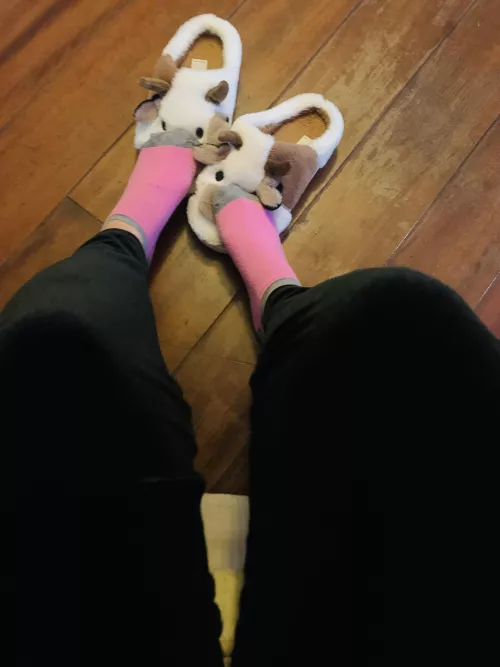 these socks are making my slippers smelly ;) by socksseller