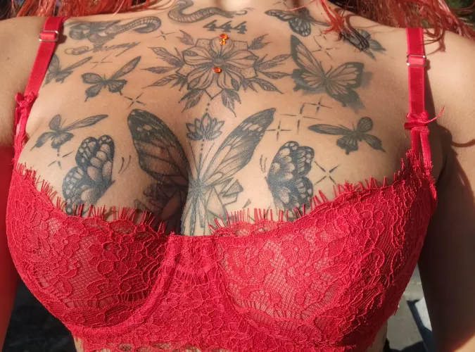 They are here waiting for you to lick them by CourtneyDriscoll