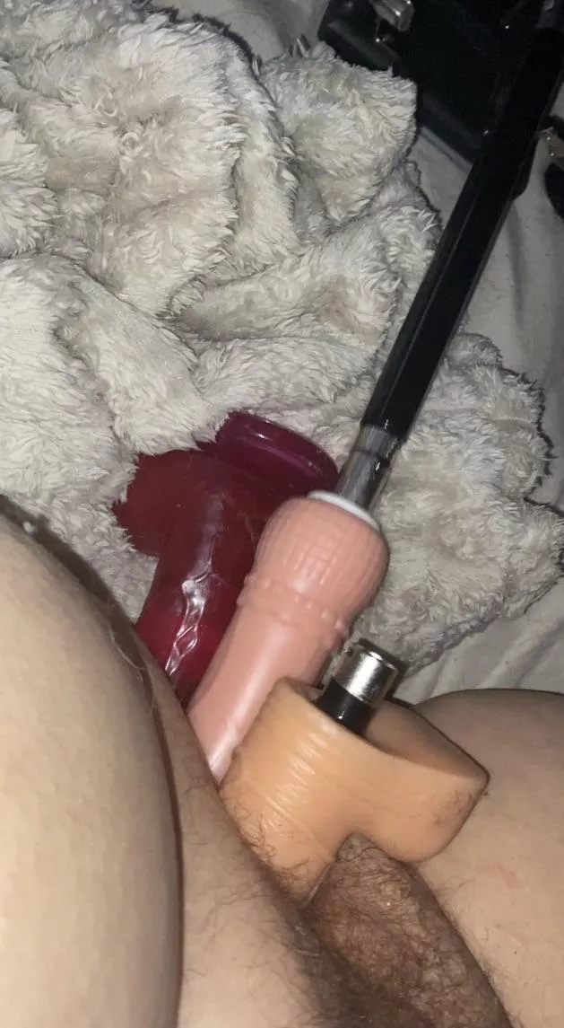 was absolutely stuffed earlier today🤪🤭 posted by Sudden-Spell-1087