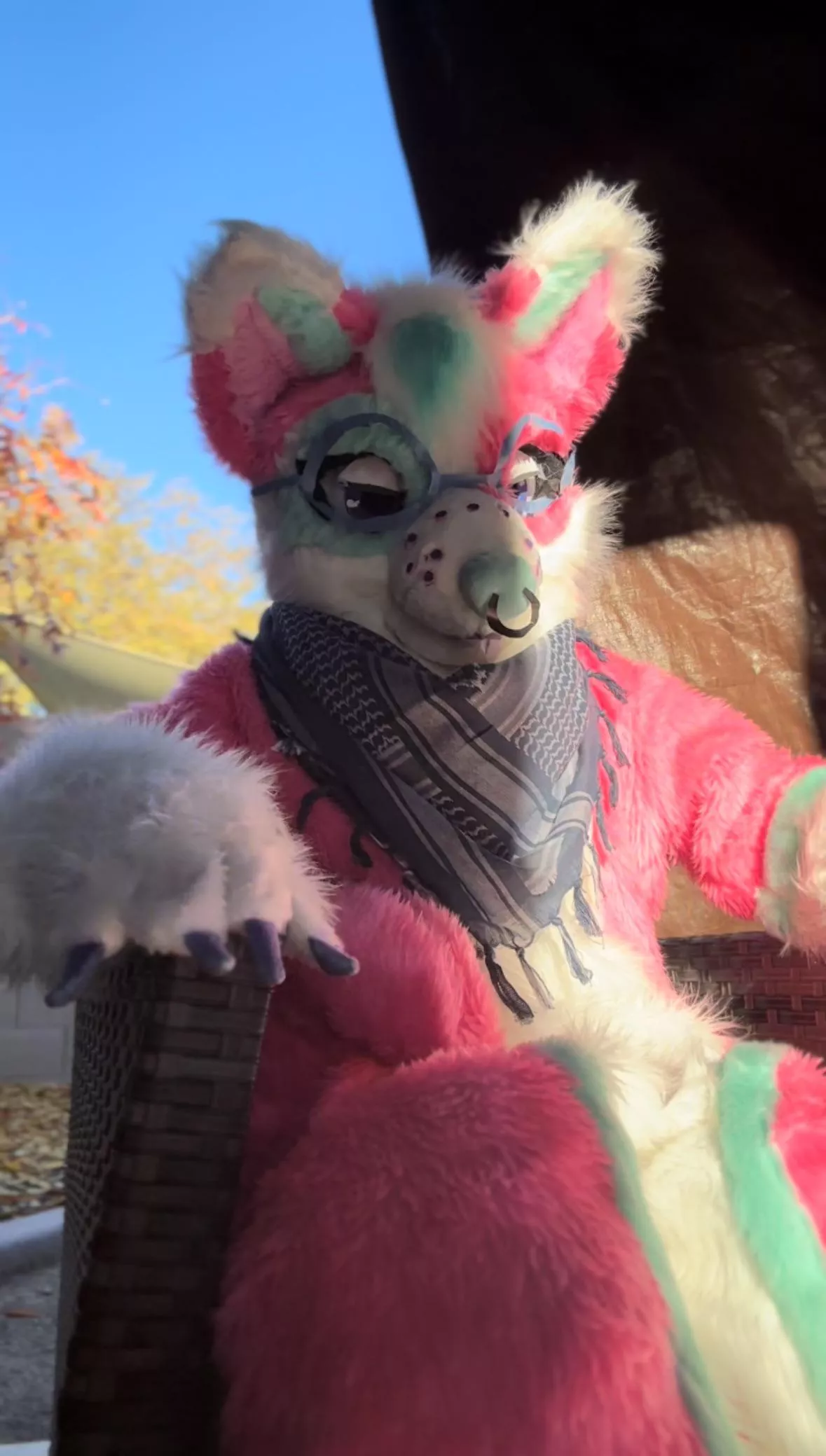 Welcome to the Dog Lair. If you’re not a dog, leave now. posted by Ancient_Summer_1833