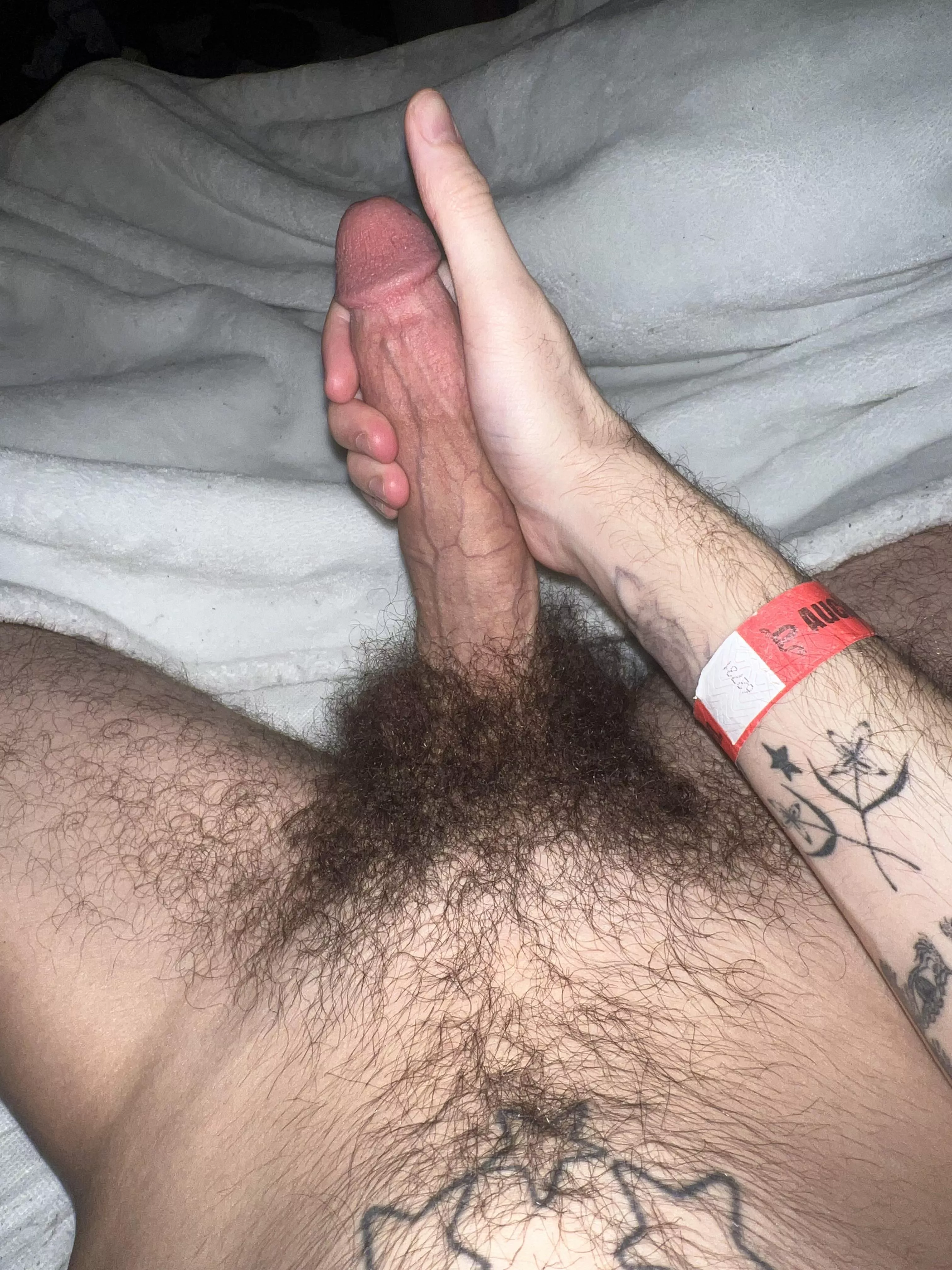 24m horny as fuck looking for bros to stroke with. hung hairy dicks to the front. bros w bush+++++ @beamerboy099 posted by gxyxcix