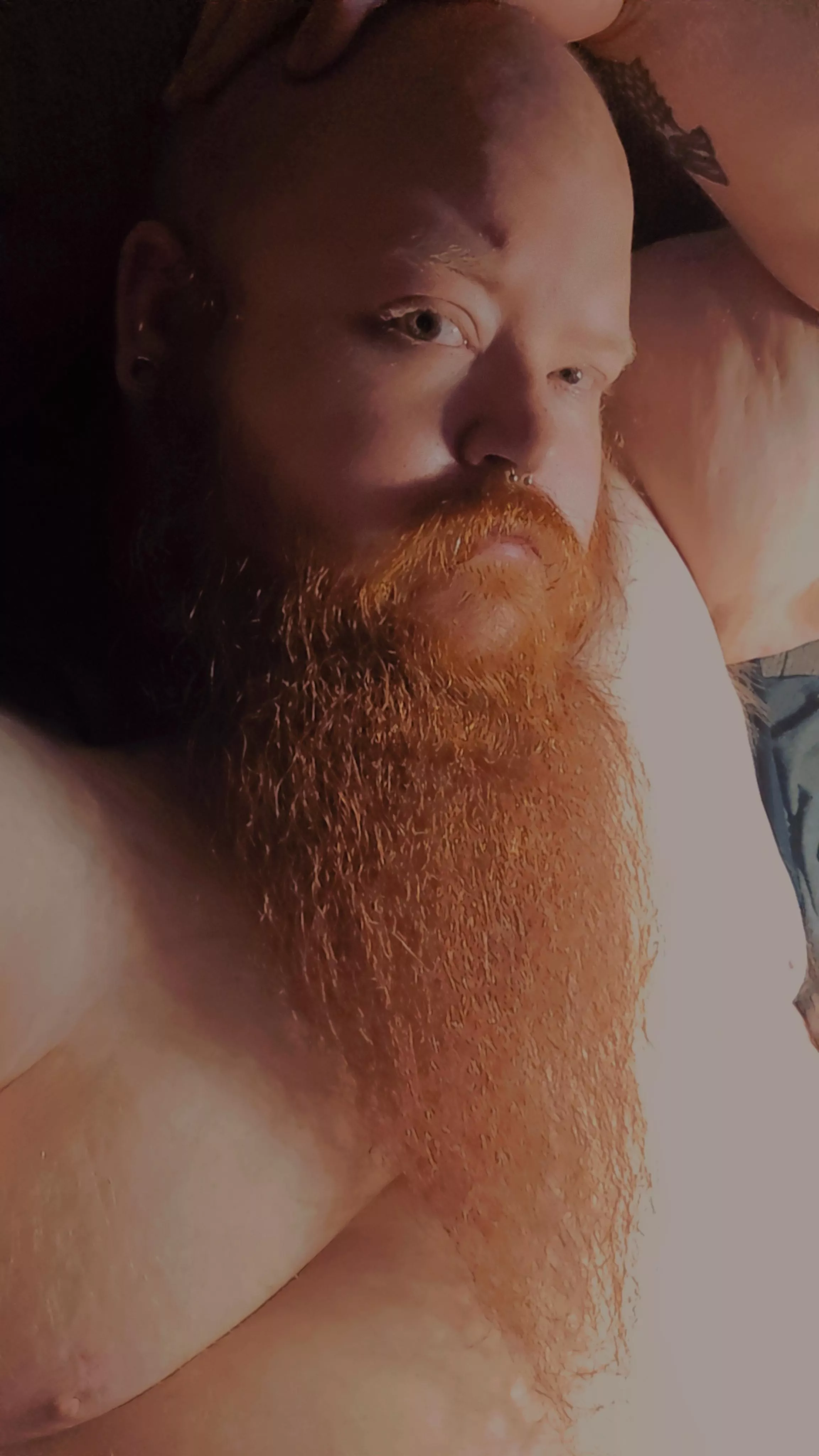 Always looking gingerlicious posted by Wolvenking9