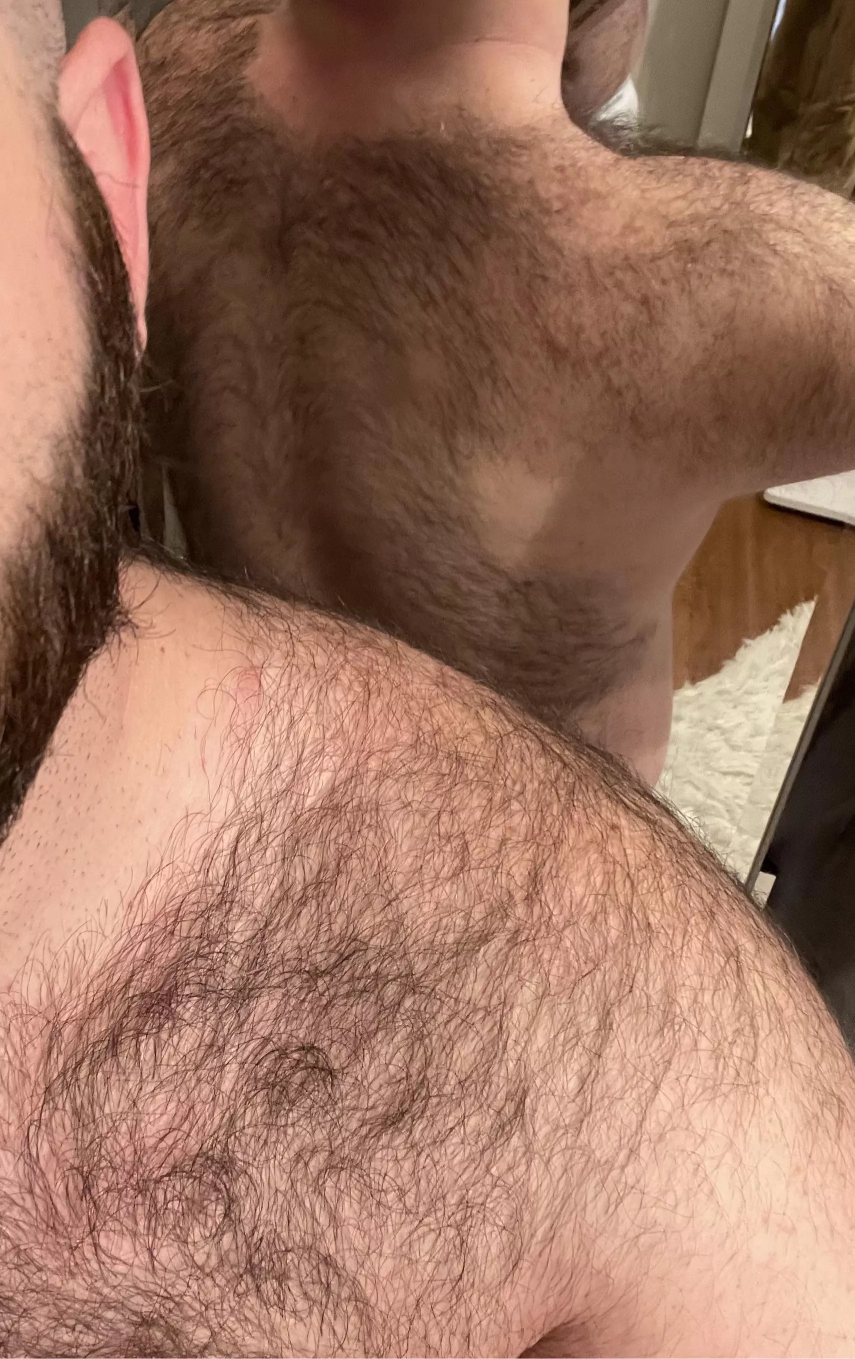 Anyone into hairy backs? posted by hornyhairypig