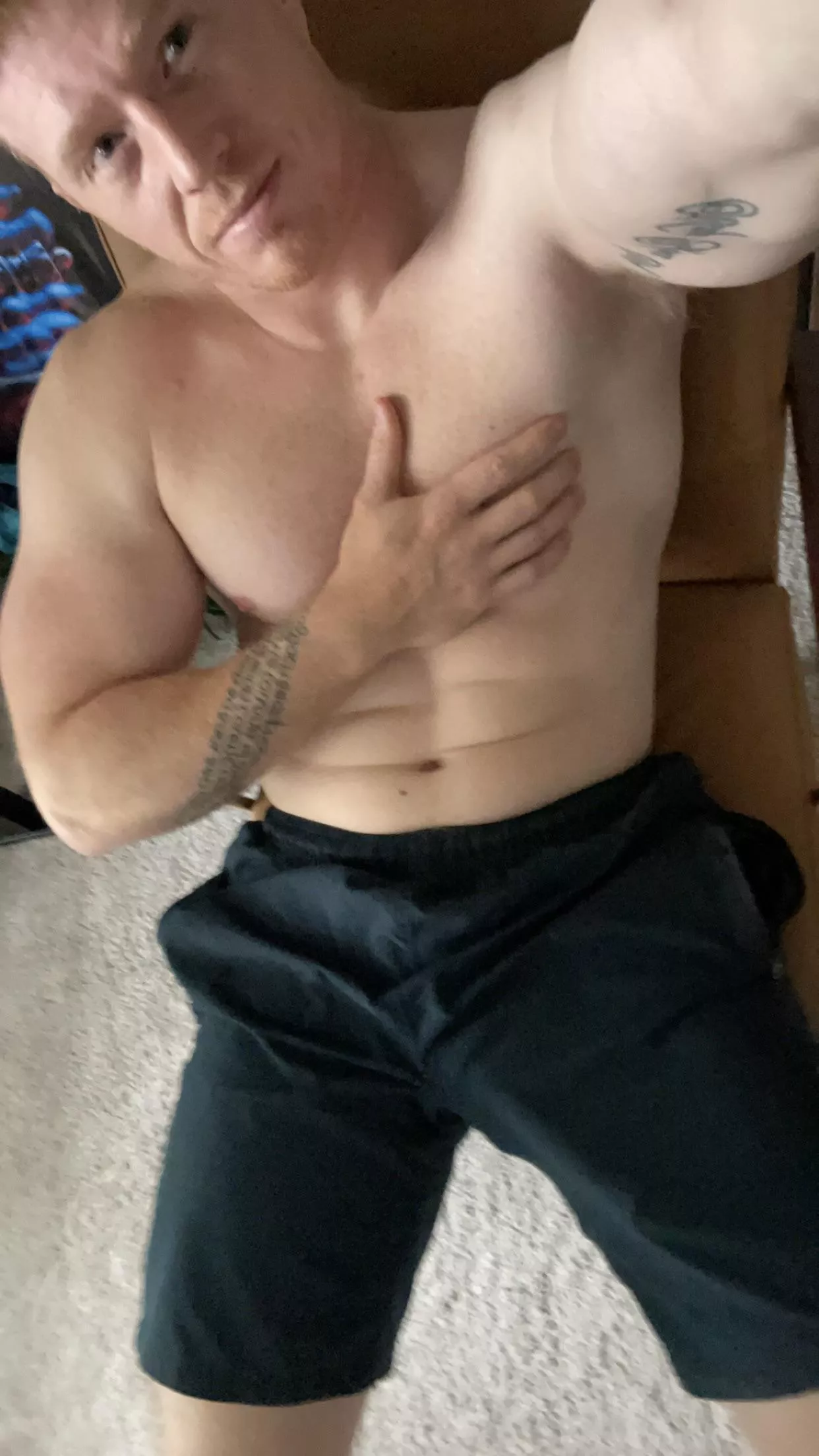 Can you see it? posted by beefyredhead