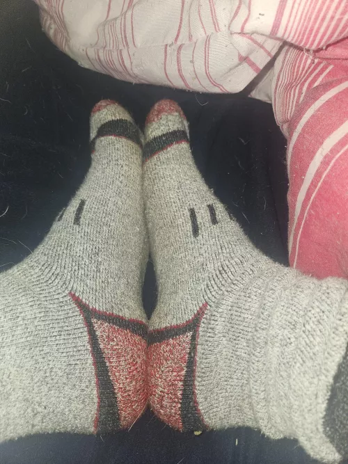 Come put it between. I need you by qtbabybunnygirl