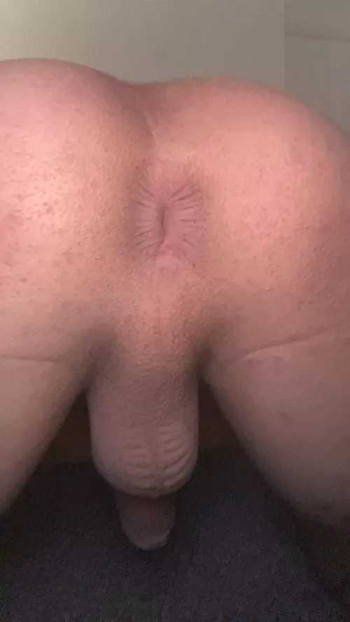 Could I sit on your face? by WeatherSuper9829