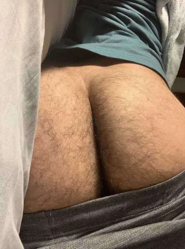 Do you like young hairy ass, daddy? posted by Alarmed-Sun2365