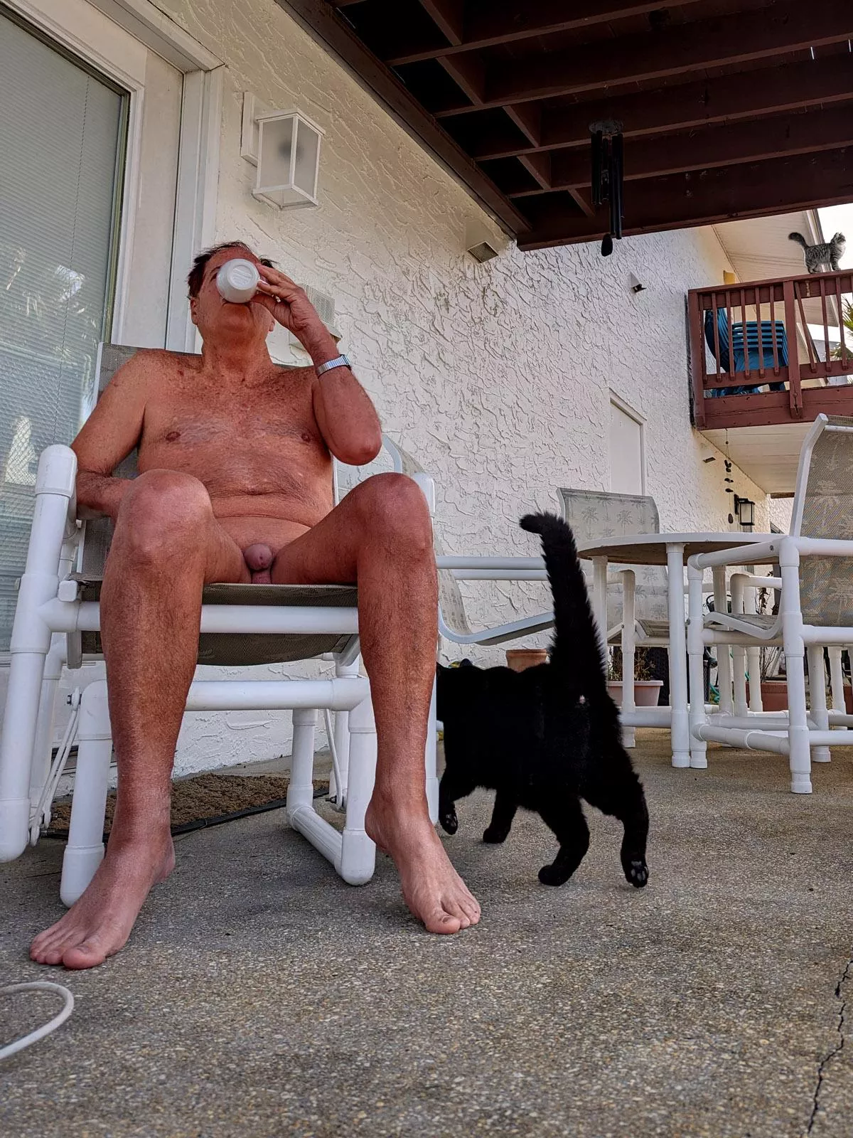 Happy Caturday posted by redbull