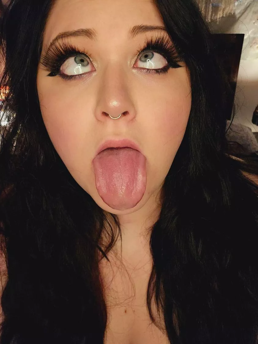 Hi how are we hehe posted by wildflowerus