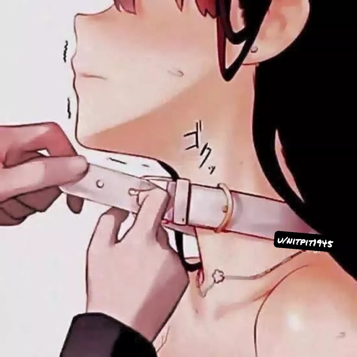 How it should be by every pet with a master posted by nitpit1945