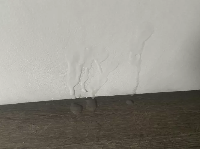 I spread out a bunch of Polaroids of my wife sucking her ex’s cock. Blew this load on the couch by OpenHouseXXX