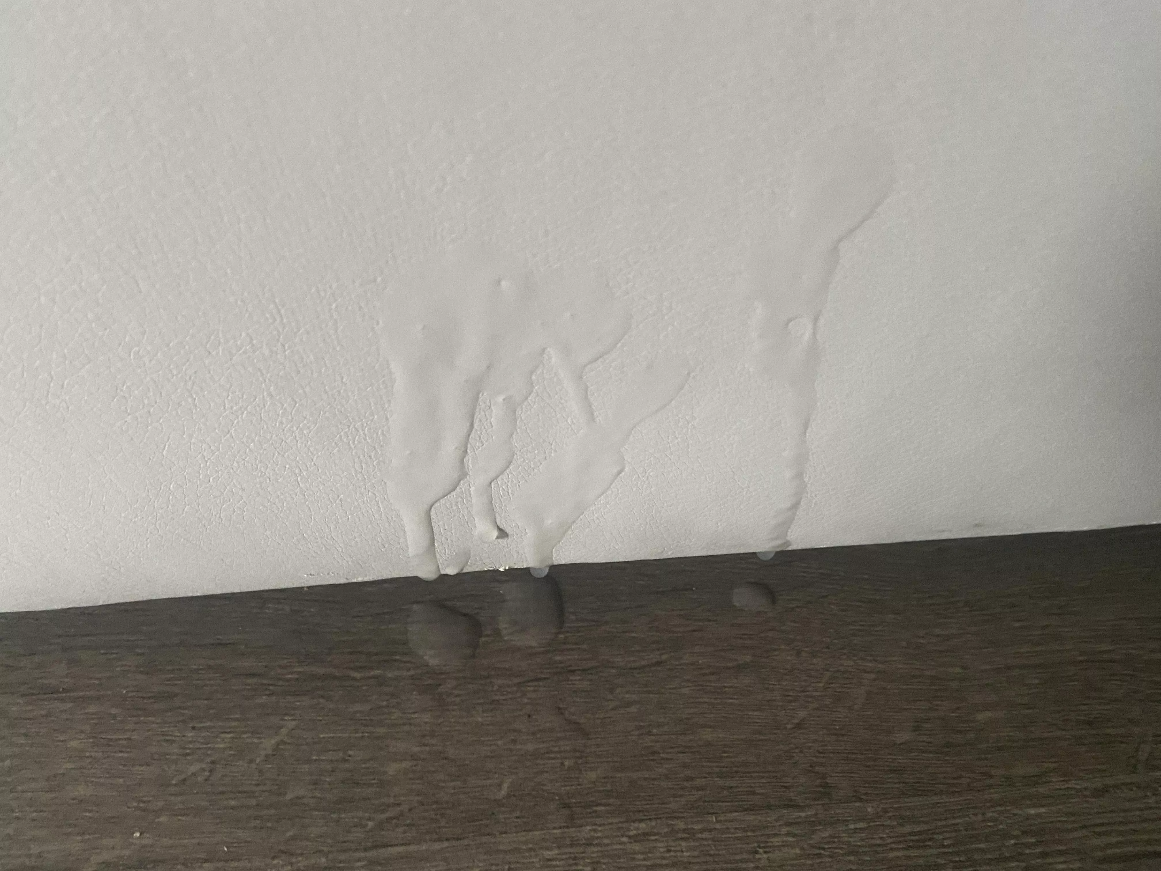 I spread out a bunch of Polaroids of my wife sucking her ex’s cock. Blew this load on the couch posted by OpenHouseXXX