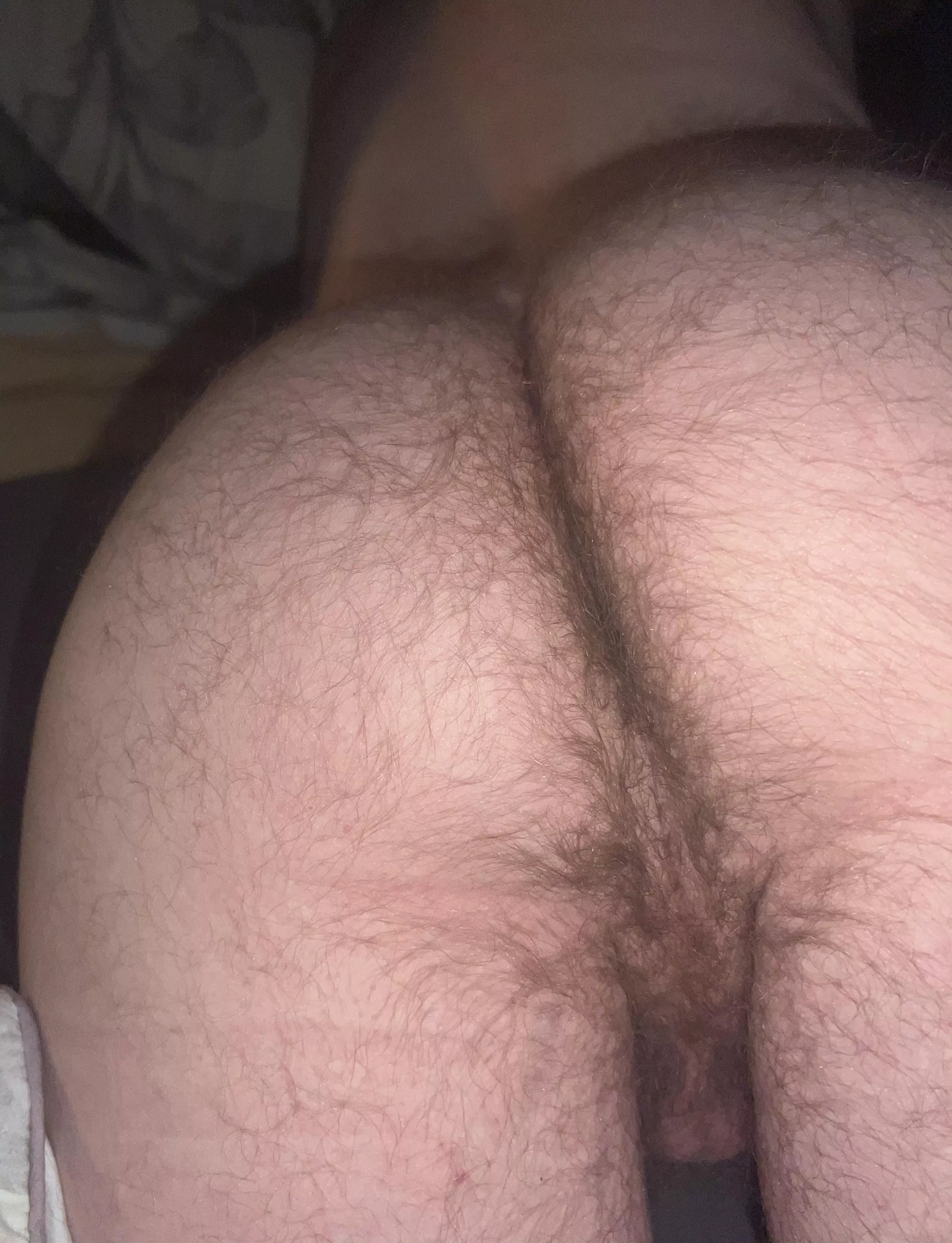 I'd love to stick my hairy butt in your face posted by FartsTX