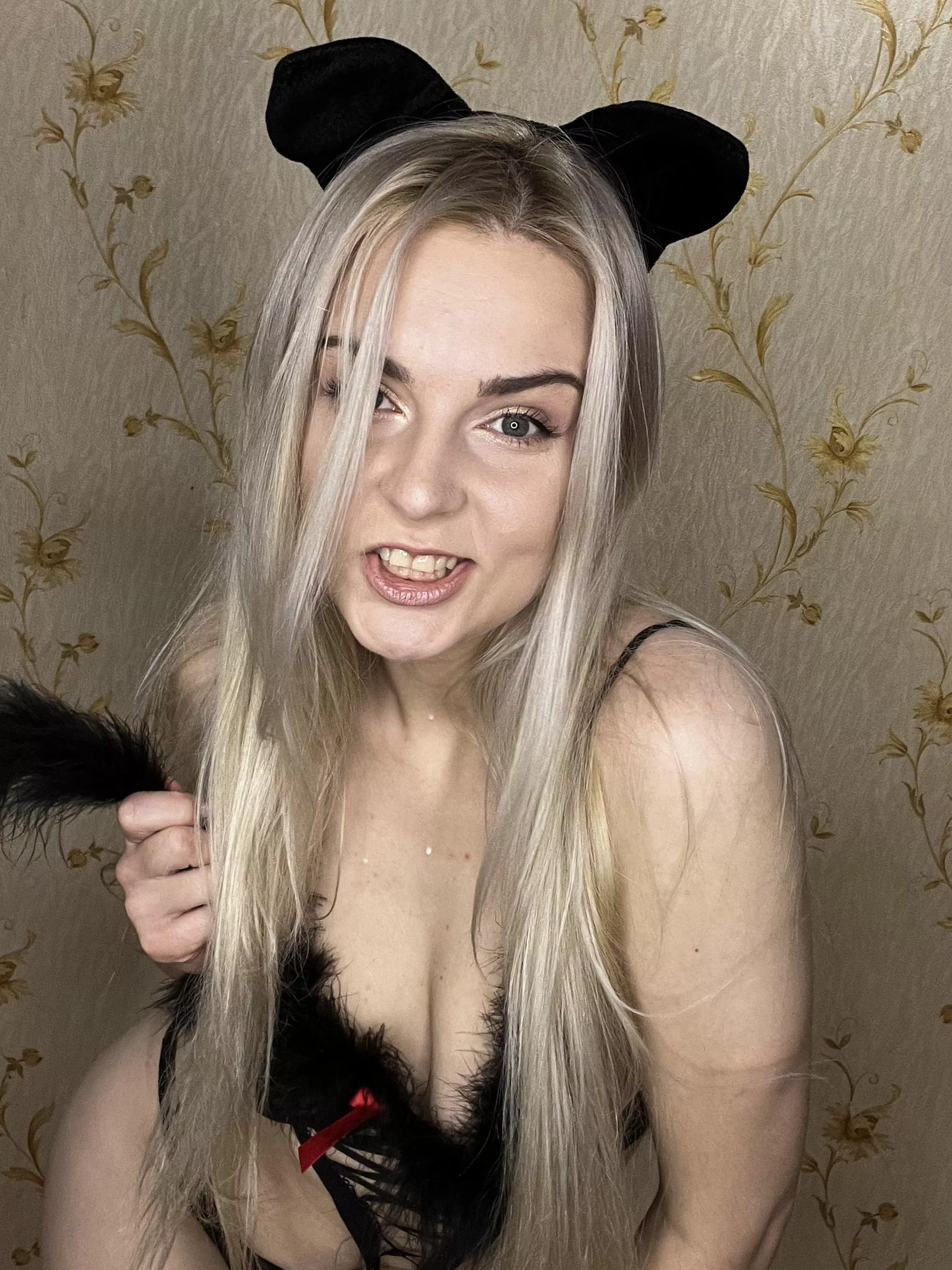 I'm a crazy cat woman rrrrrr posted by aboardTroll