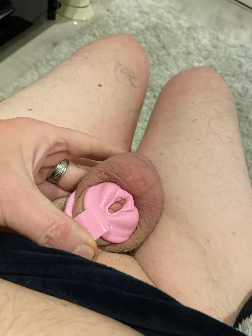 Ironically I’m locked in a pussy by Awkward-Growth-2161