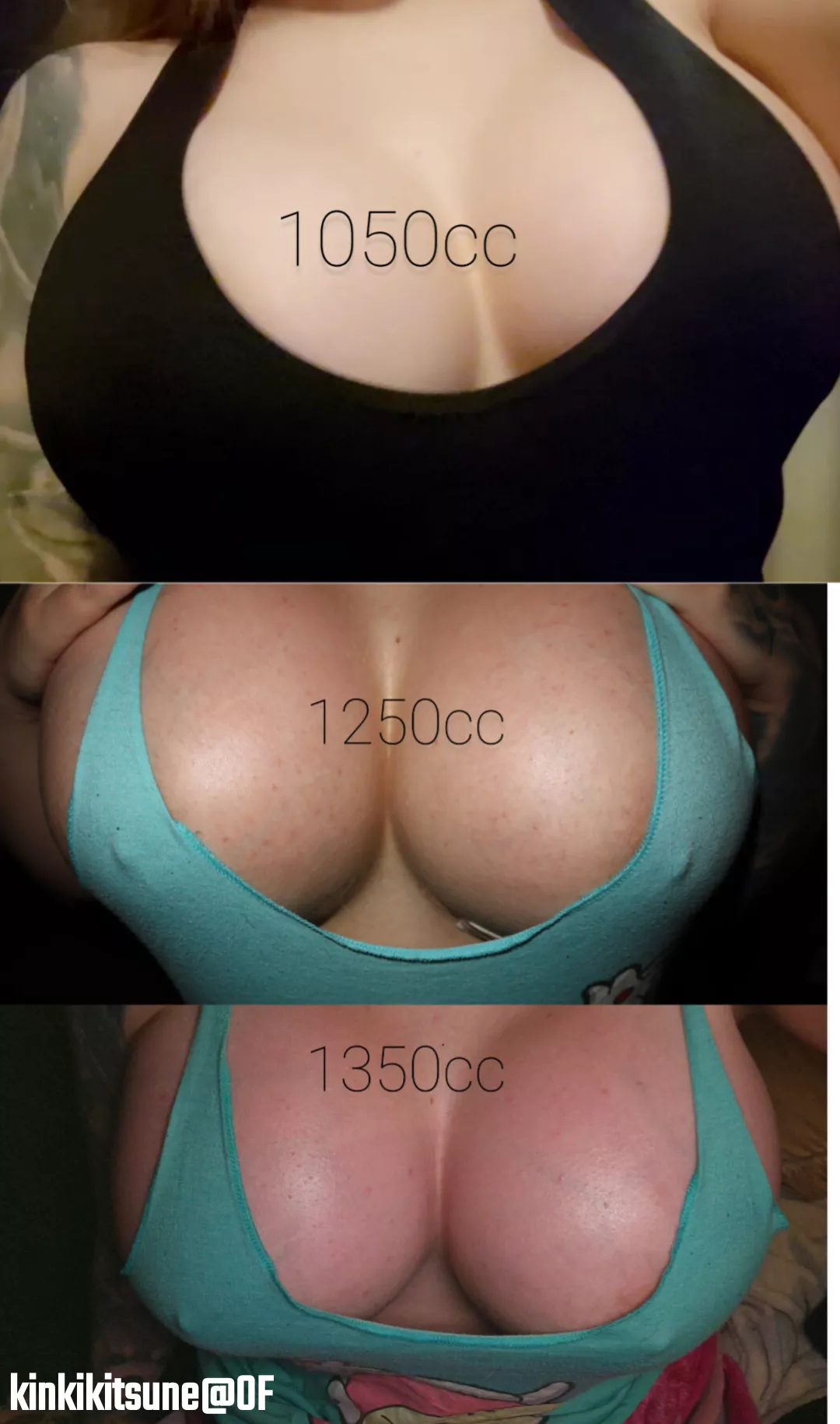 [Kinkikitsune] Comparison 1050-1350cc posted by KinkiKitsunexoxo