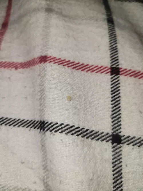 My new best friend... by Helpful-Sky4443