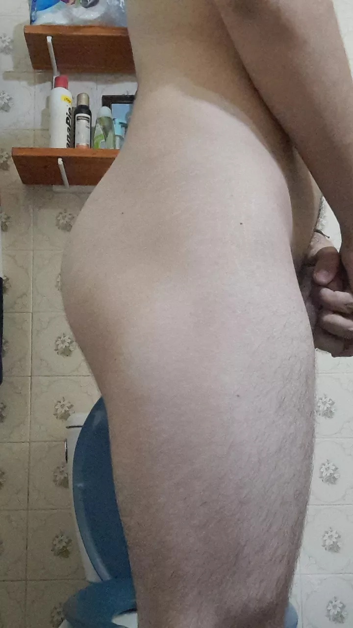 New to leg training, what you think? posted by KodakVore