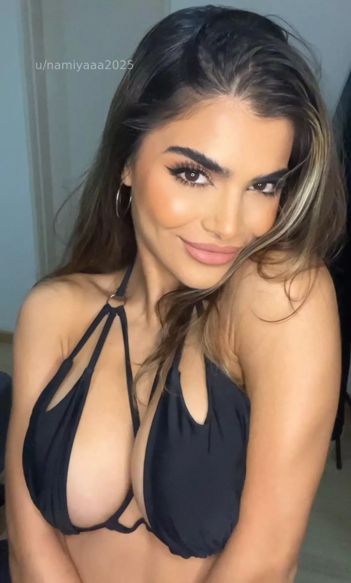 Persian x German posted by namiyaaa2025