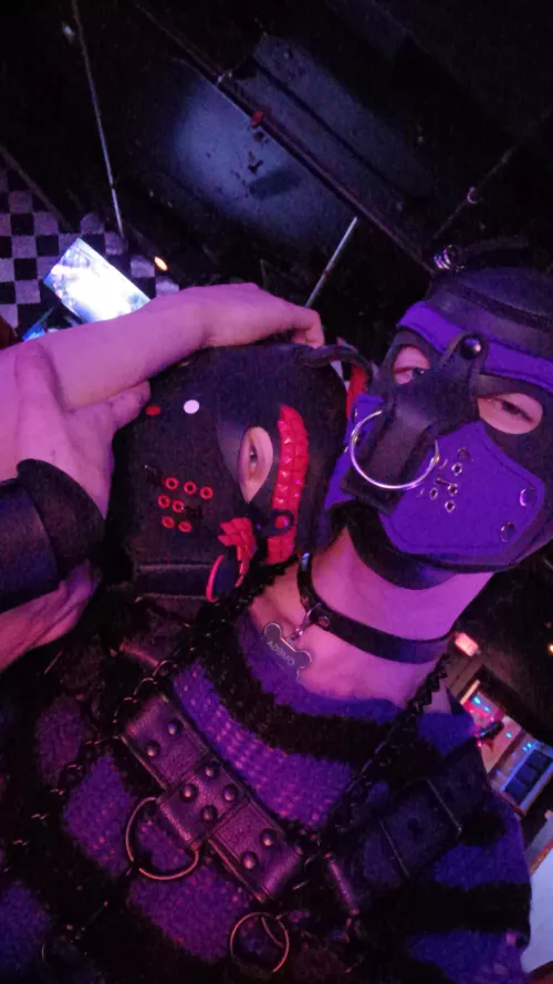 Pup brothers out at a club by Far_Protection8659
