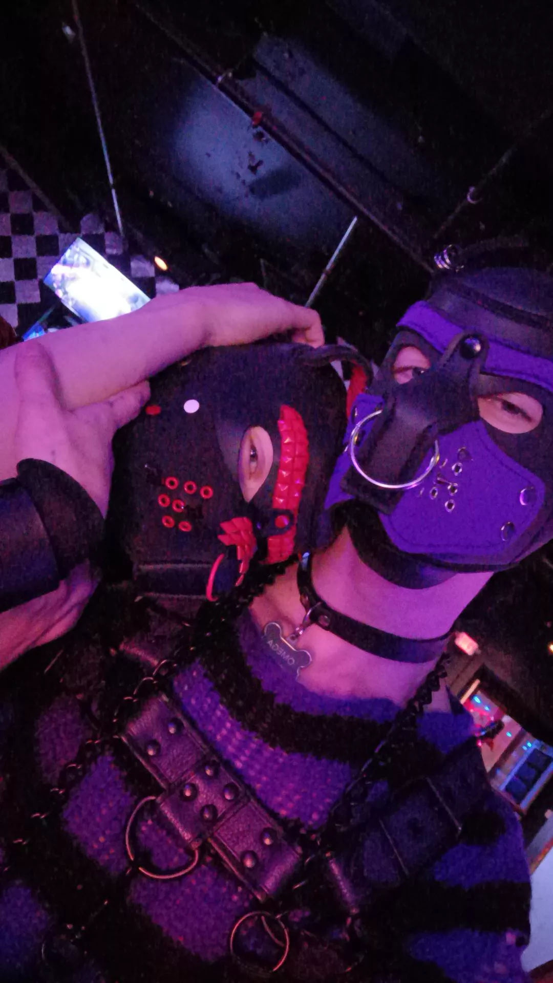 Pup brothers out at a club posted by Far_Protection8659