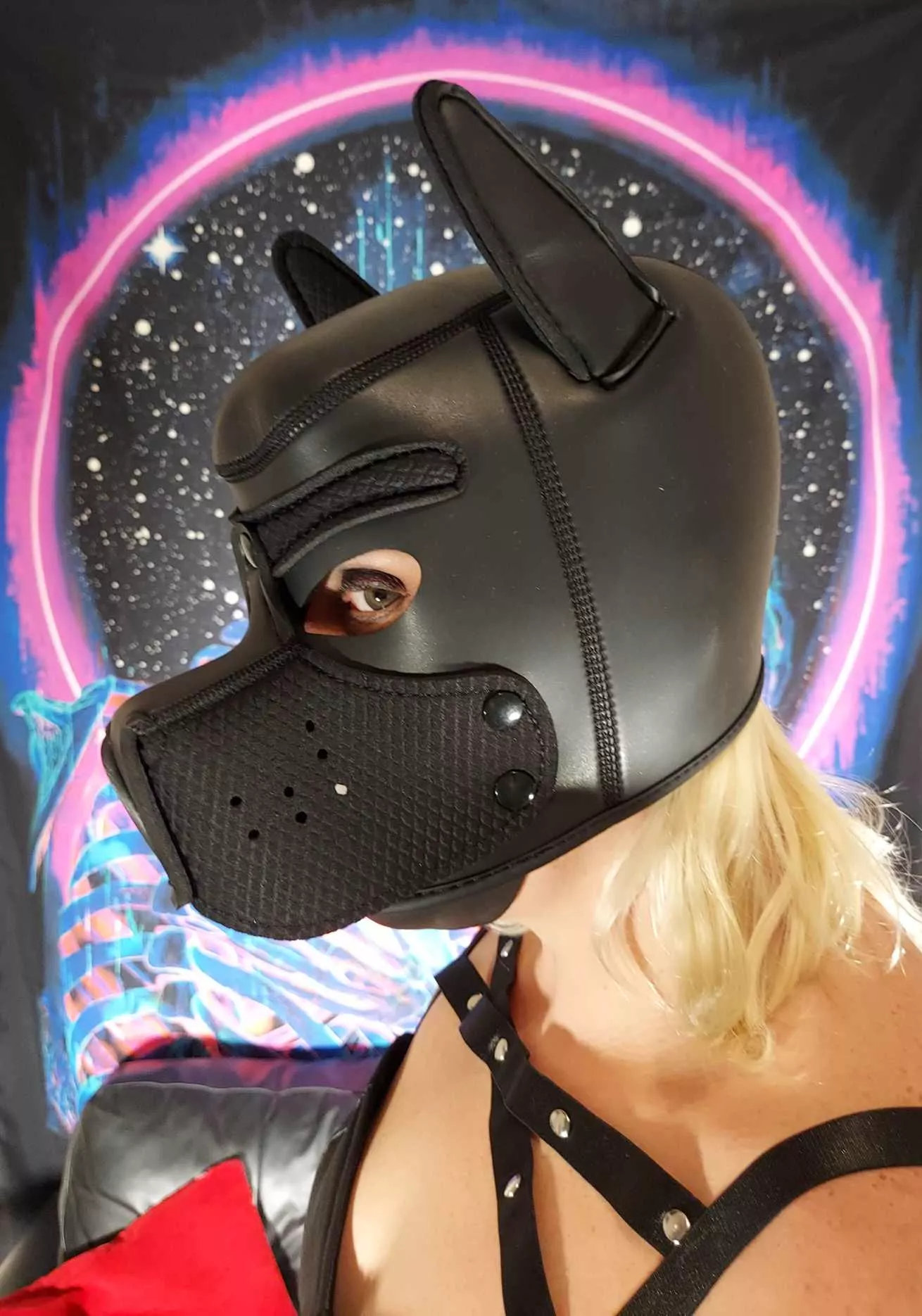 Puppy play time posted by Rebekahlarandy1