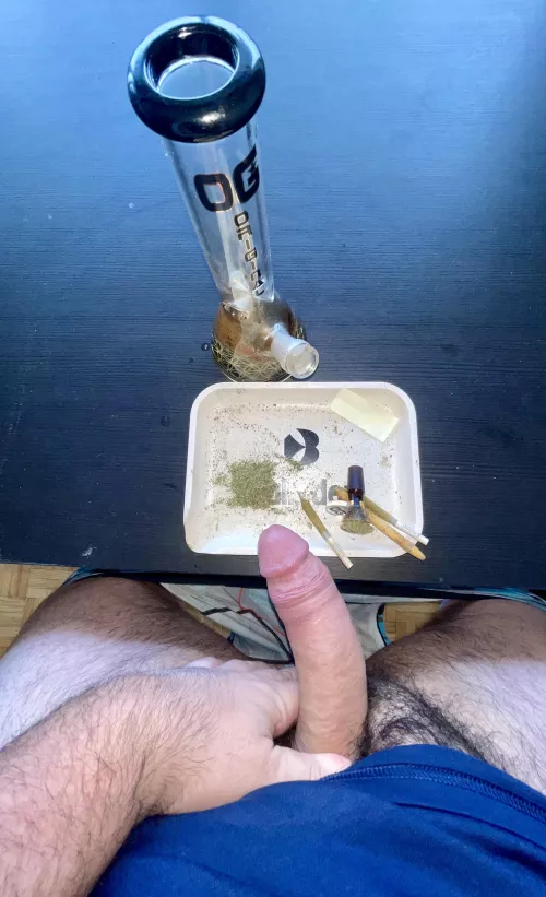 Sundaze are the best days, good (m)orning 😈 by Additional_Bear_5696