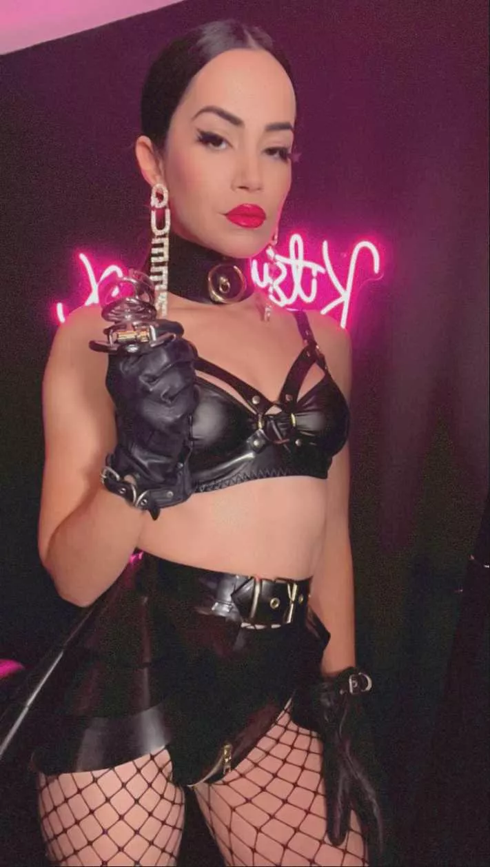 Surrender your will to me posted by gnjecavogzq