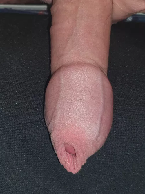 Who want to nibble on it... by ExpensiveParts7330