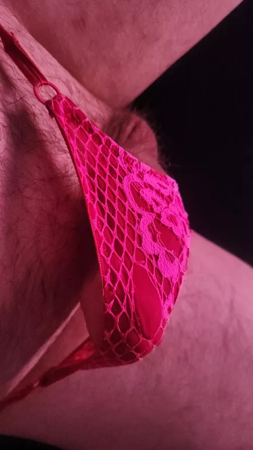 Wife's... by the0therguy2