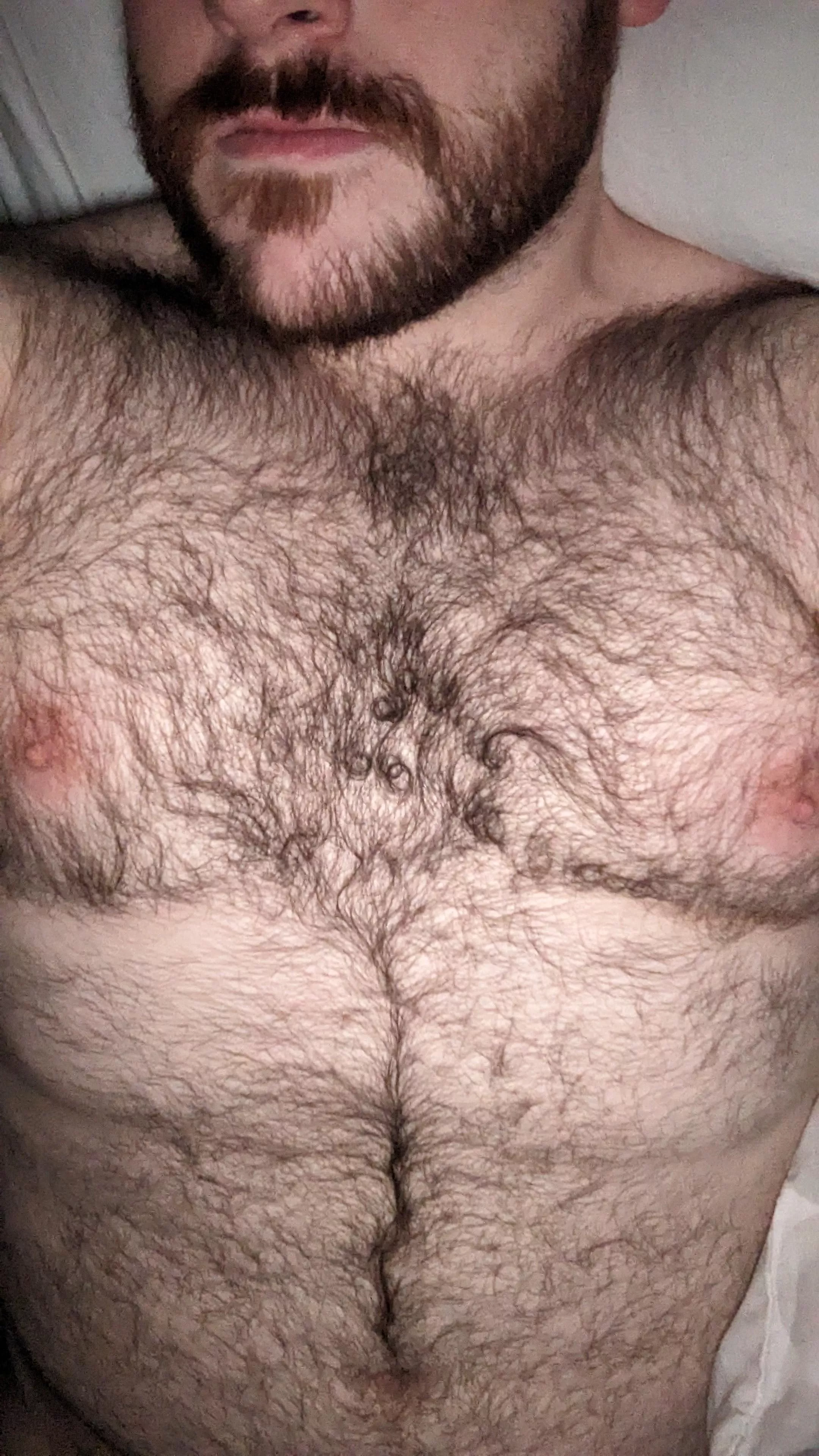 Would you lay on my chest? posted by beargw