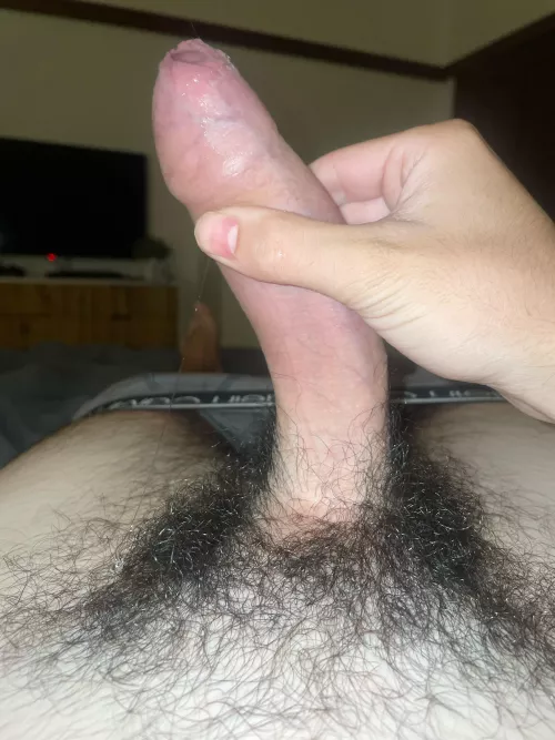 19m need one of you hairy boys to suck me off add Pickle9918 by NoToday4493