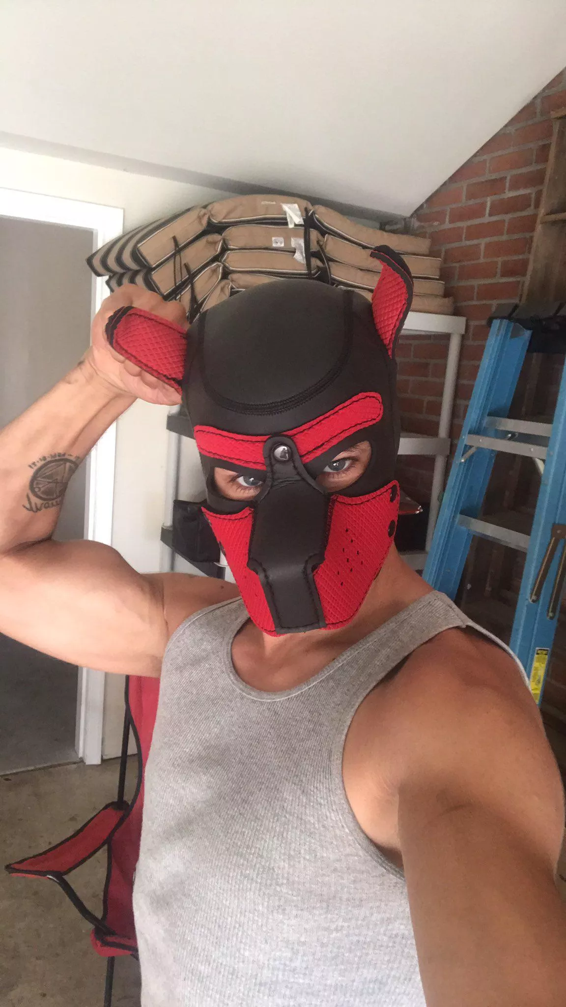 Absolutely zero judgment kind of guy here. That being said...what's your most naughty/bizarre kink? posted by JohnWolfPup