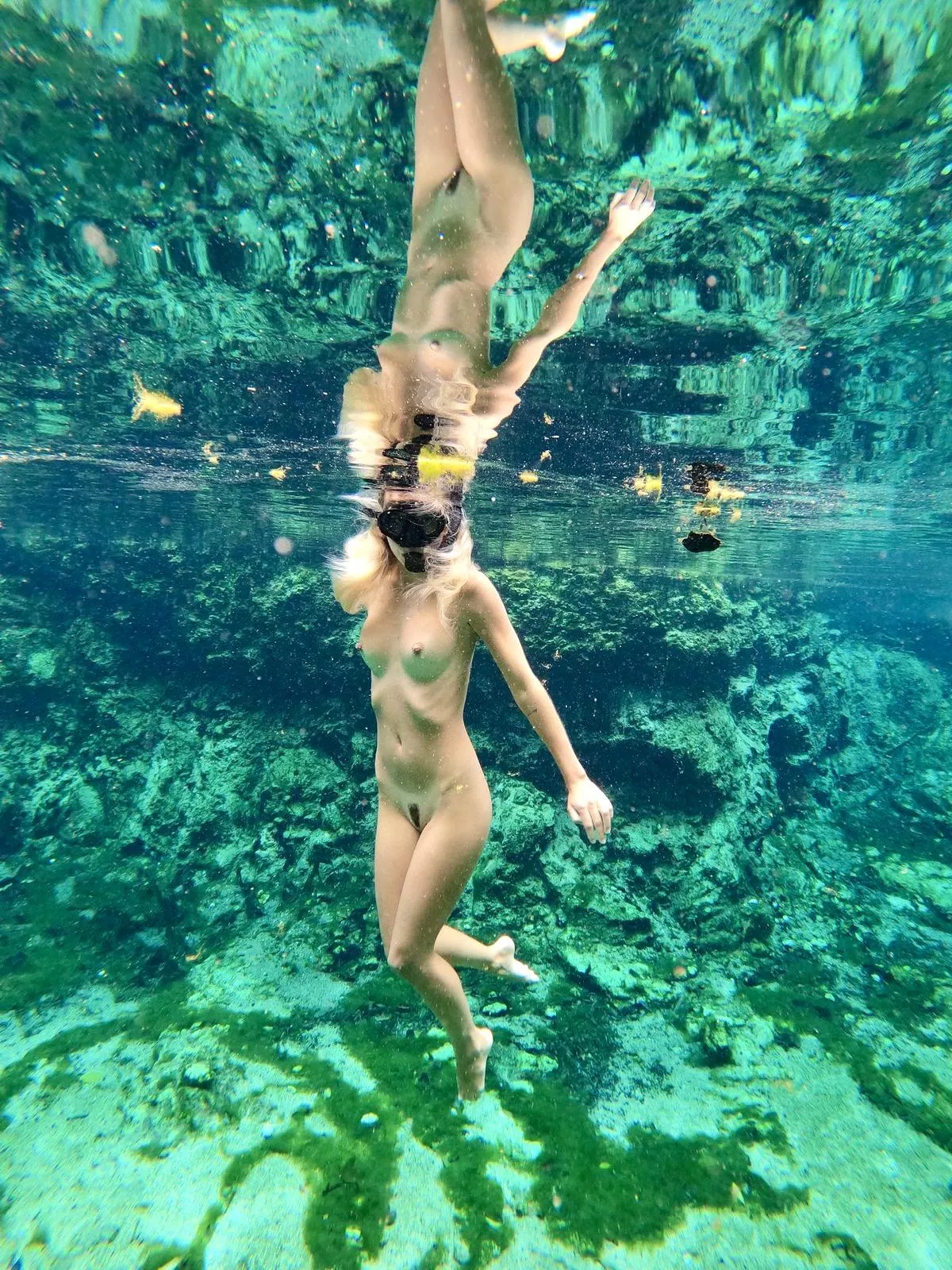 Beautiful reflection posted by Icy-Dragonfruit8787