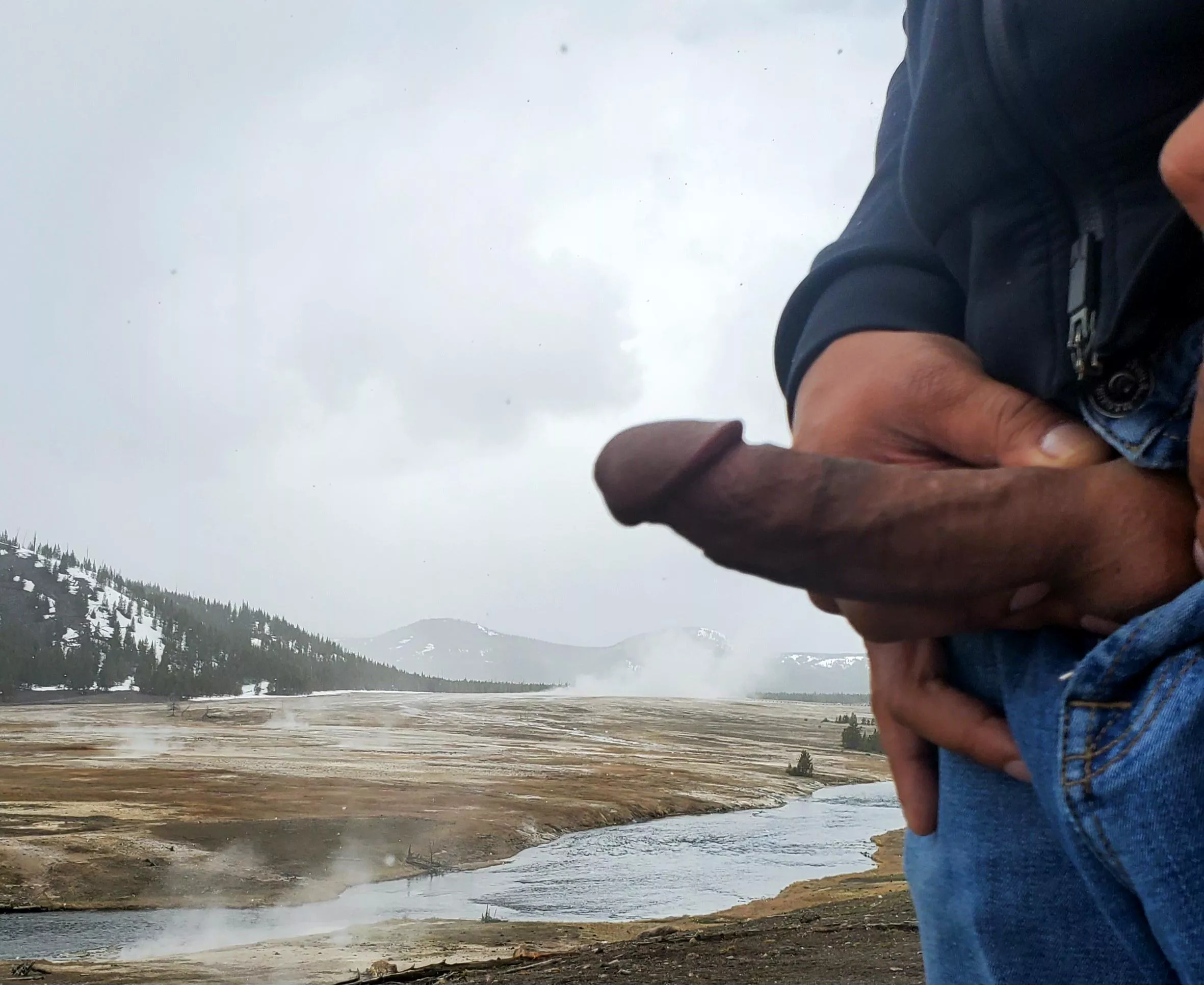 Fun in Yellowstone posted by YBFAVBULL