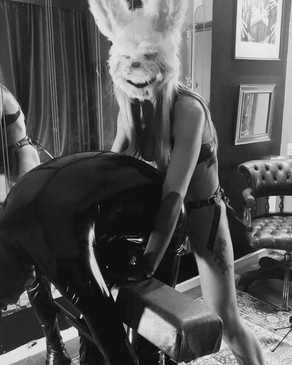 Gimps need to get used to being taken anywhere I want ! [oc] posted by Miss_Lucy20