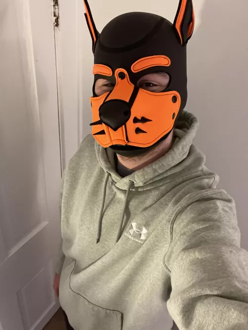 Good morning all! I hope you had a great weekend and you have a great start to your week! by PupAjaxTheGreat