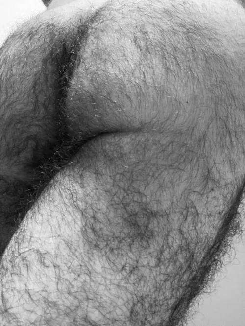 Hairy noir by PiercedX