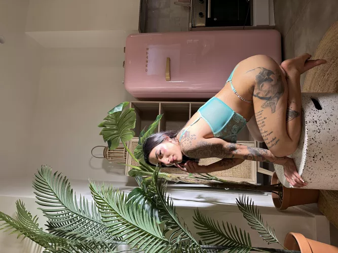 Have you ever given a nice girl like me a really hard fuck and spit in her face? by ExtensionJob4745