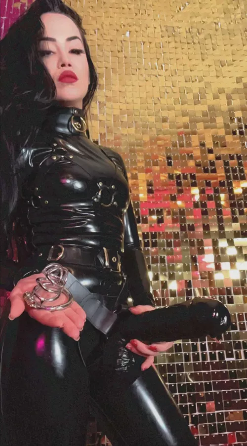 How do you sissies reply when your Domme is done? by gnjecavogzq